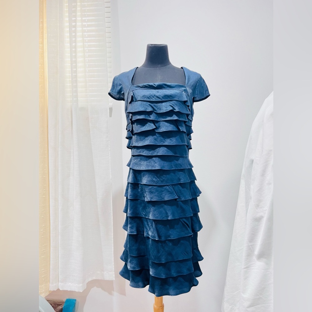 BNWT Dress